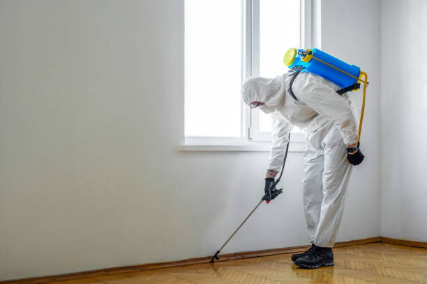 Best Best Pest Control Companies  in Elephant Butte, NM