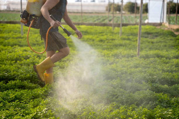 Best Best Pest Control Near Me  in Elephant Butte, NM