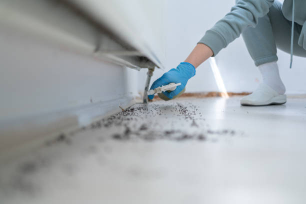 Pest Control Cost in Elephant Butte, NM